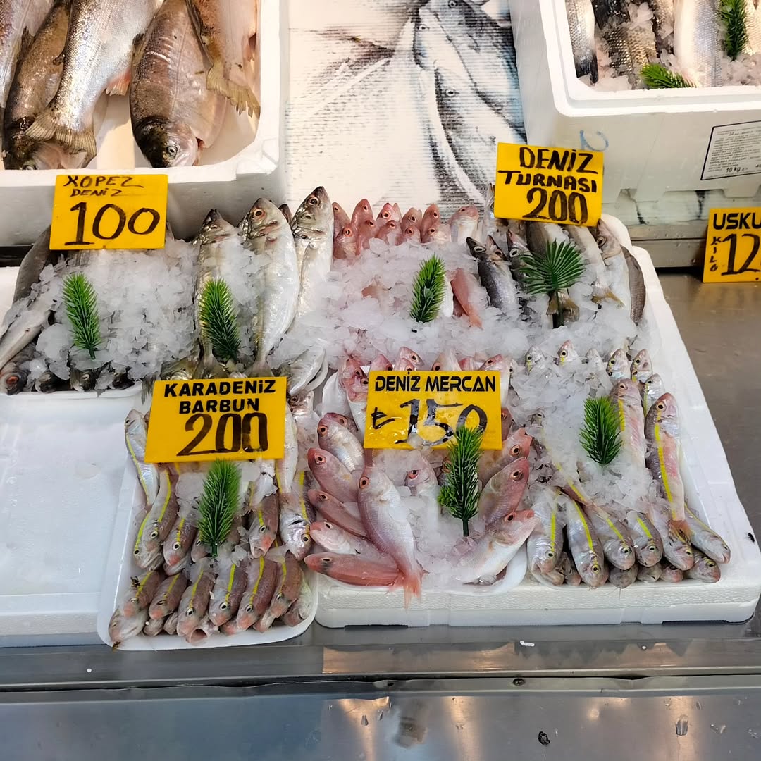 Munzur Balıkçısı 